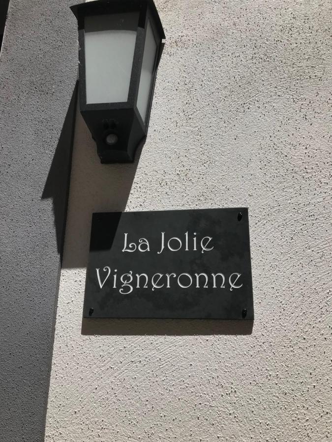 マルセイヤン La Jolie Vigneronneヴィラ エクステリア 写真